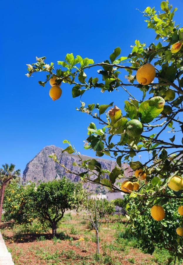 Casa Vacanze Il Faro San Vito Lo Capo-Trapani-Sicilia Ovest Holiday Home מראה חיצוני תמונה